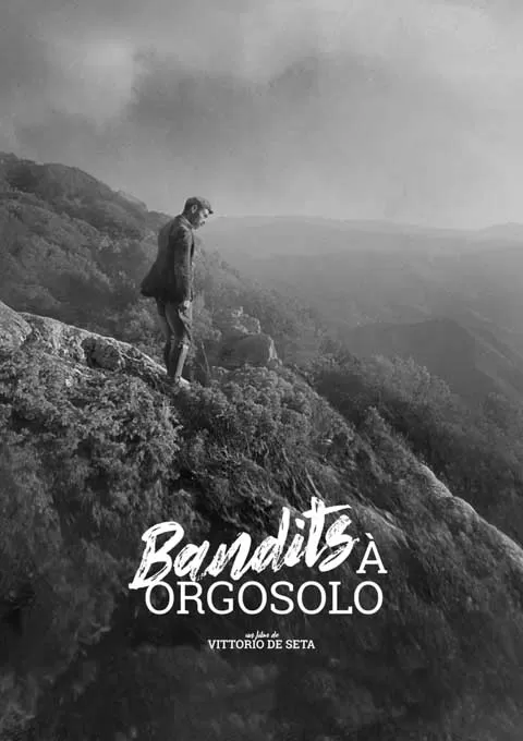 奥尔高索洛的强盗